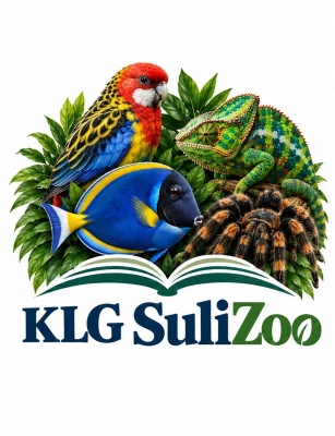 Partner logó